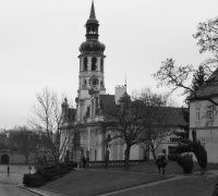 P1070958 (2)