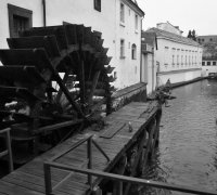 P1070979