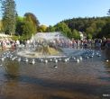 img_3351_0