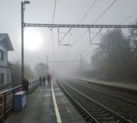 IMG_20221112_090523