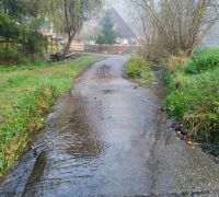 IMG_20221112_091738