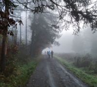 IMG_20221112_095039