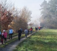 IMG_20221112_095923-2