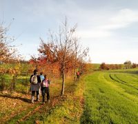 IMG_20221112_102149