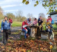 IMG_20221112_120537