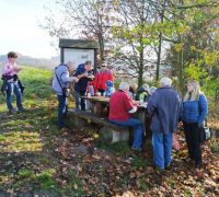 IMG_20221112_120842