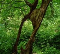 IMG_20220521_142010