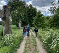 IMG_8249