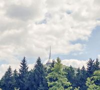 IMG_8828