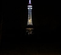 IMG_9304