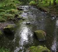 DSC01025