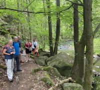DSC01026a