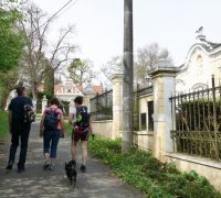 DSC00477