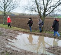 IMG_20230115_110302