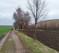 IMG_20230115_110857
