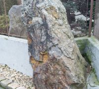 IMG_20230115_122728