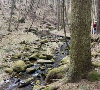 IMG_7727