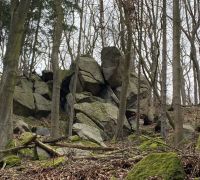 IMG_7735