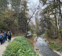 IMG_5473